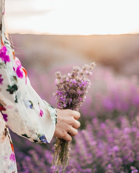 Floral Scenting Guide 2026: Remastering Your Home with Botanical Elegance
